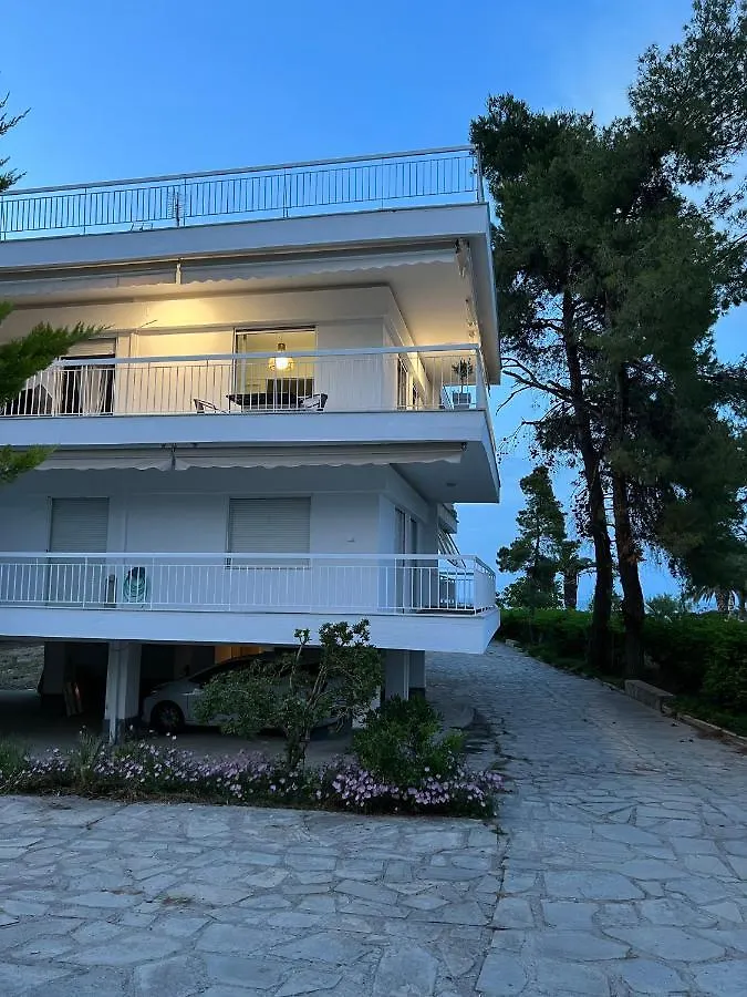 Appartamento Beach Next To The House Agni Hanioti Grecia